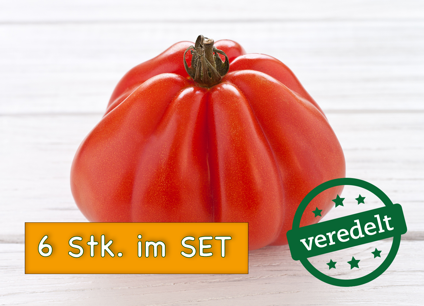 Bio Tomatenpflanzen ‚Cœur de Bœuf‘, Ochsenherz - veredelt SET 6 Stk 