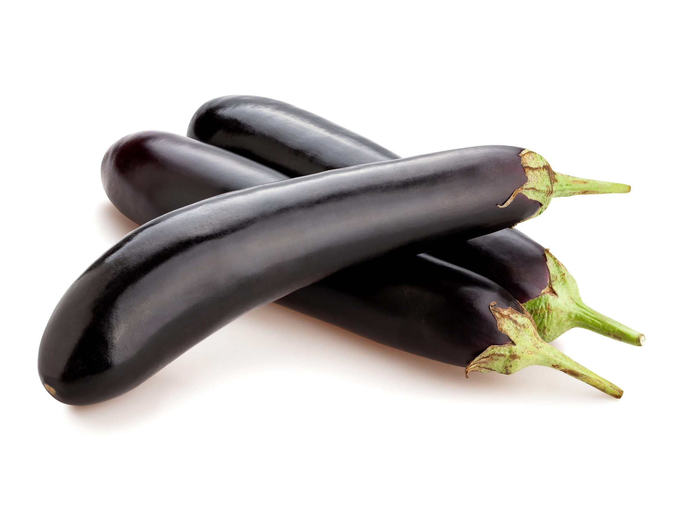 Bio Aubergine ‚De Barbentane‘, Auberginenpflanze