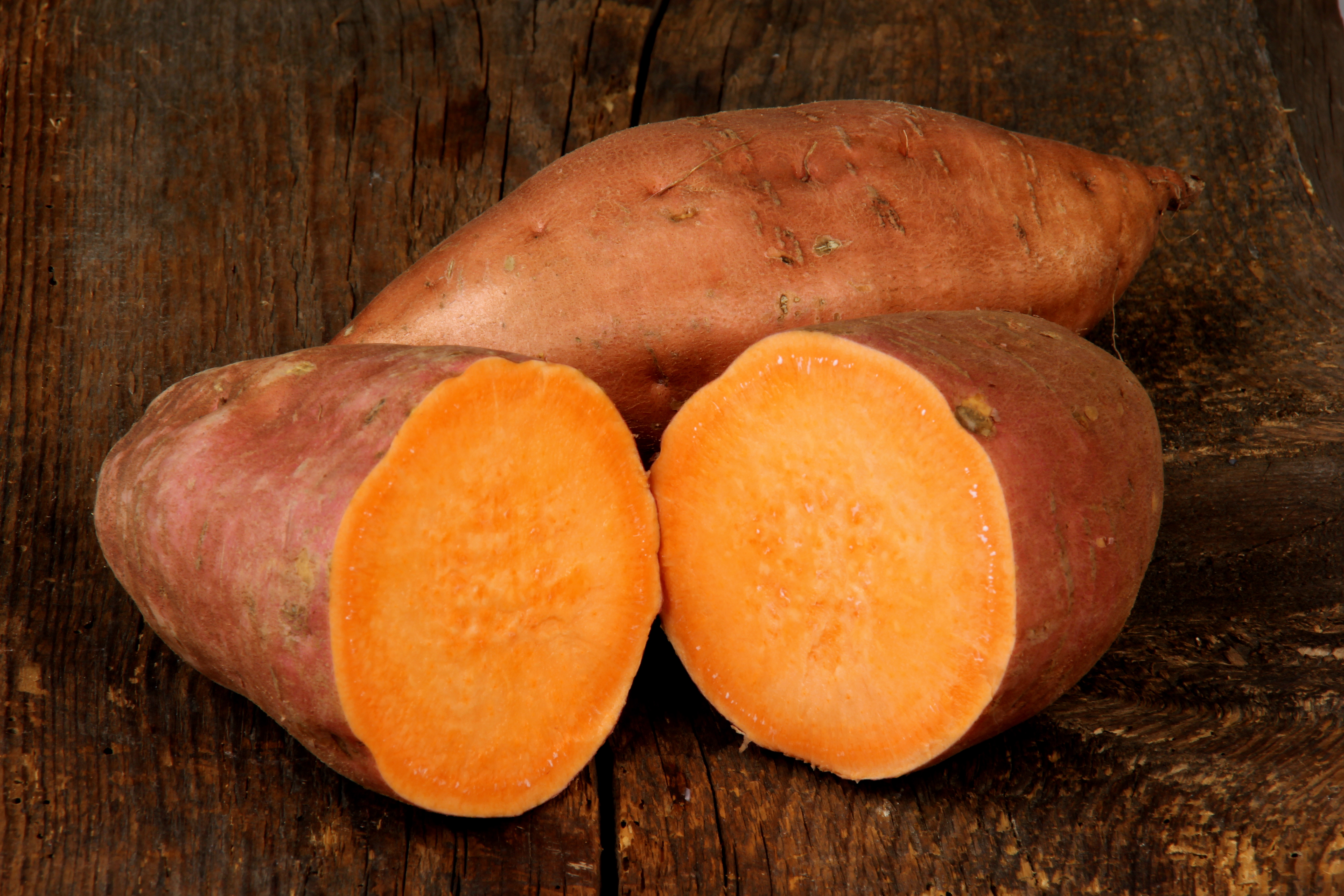 Bio-Süßkartoffel,  Erato Orange im 12-cm-Topf