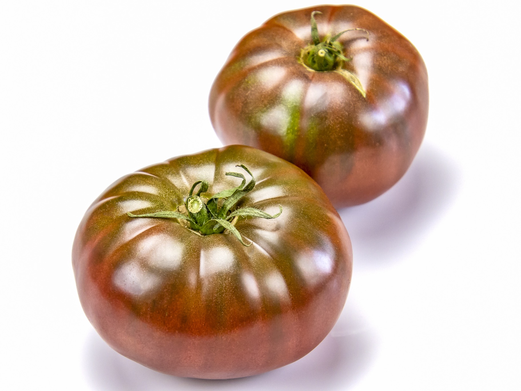 Bio-Tomatenpflanze ‚Schwarze Krim', im 7x7-cm-Erdballen  