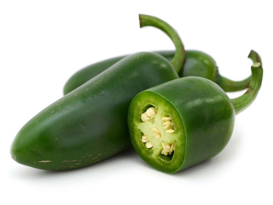 Bio-Peperoni ‚Jalapeno Ruben'  im 12-cm-Topf  