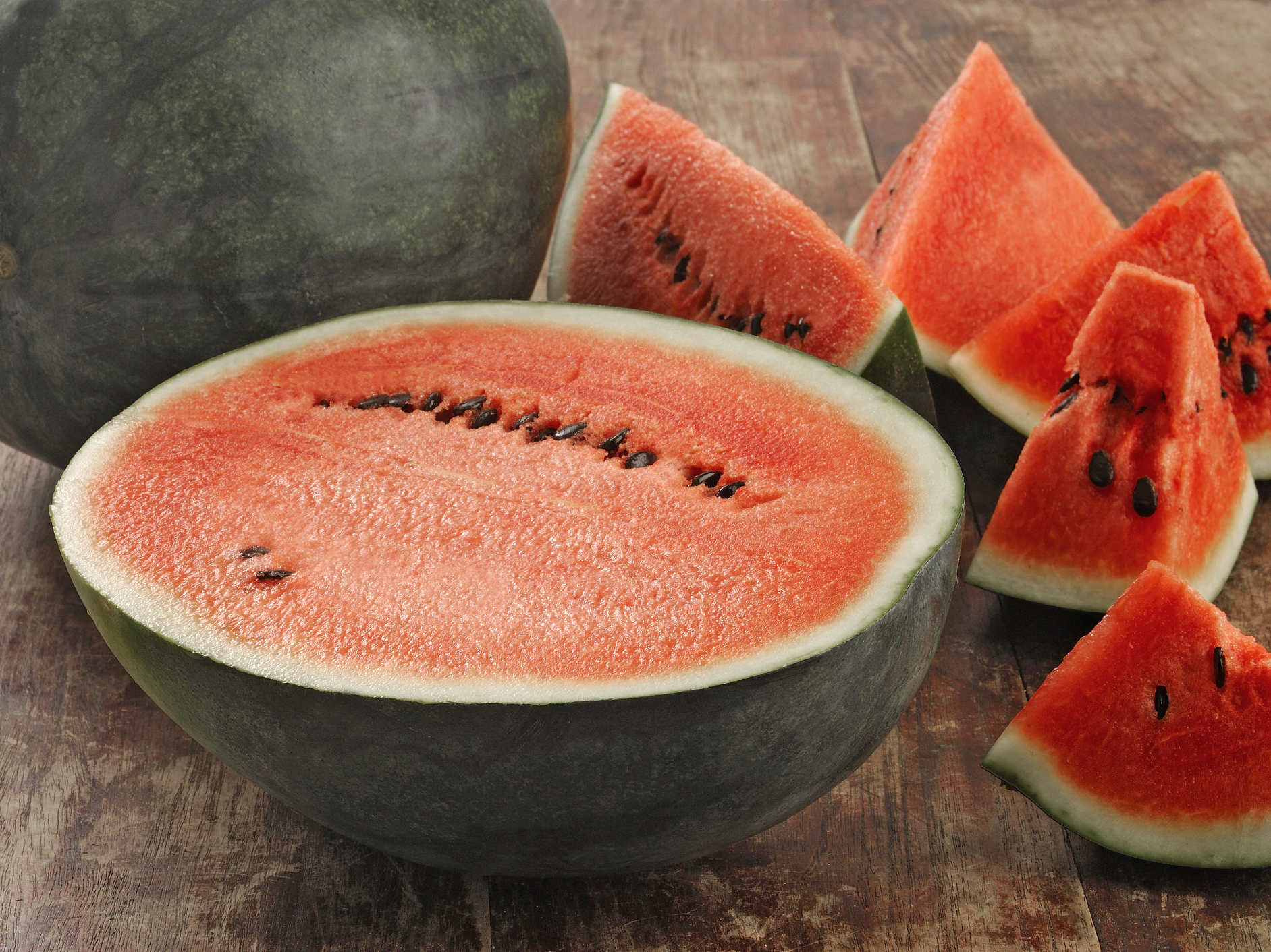 Bio Wassermelone ‚Sugar Baby‘, Melonenpflanze