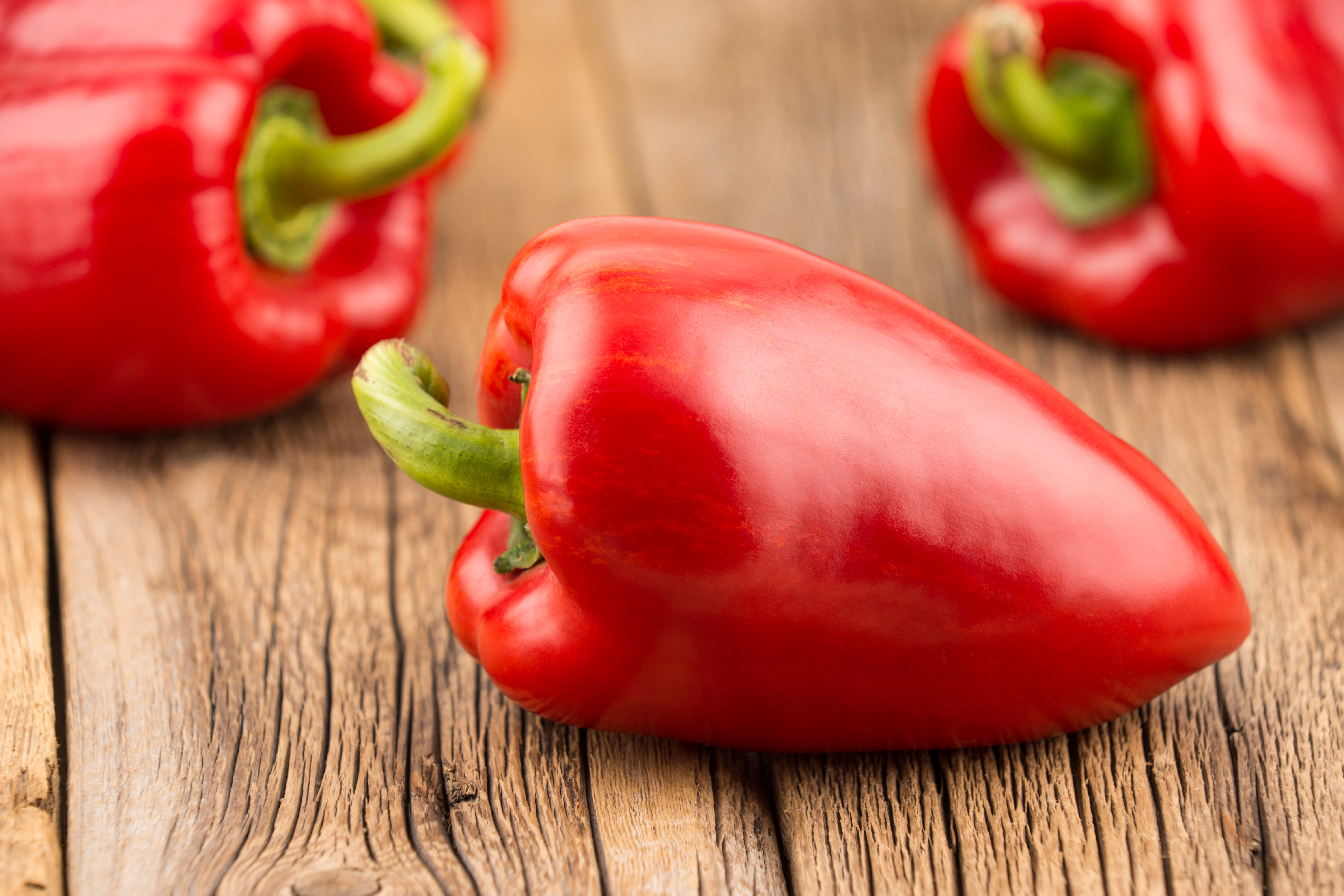 Bio Snackpaprika ‚Arwen‘, Paprikapflanze