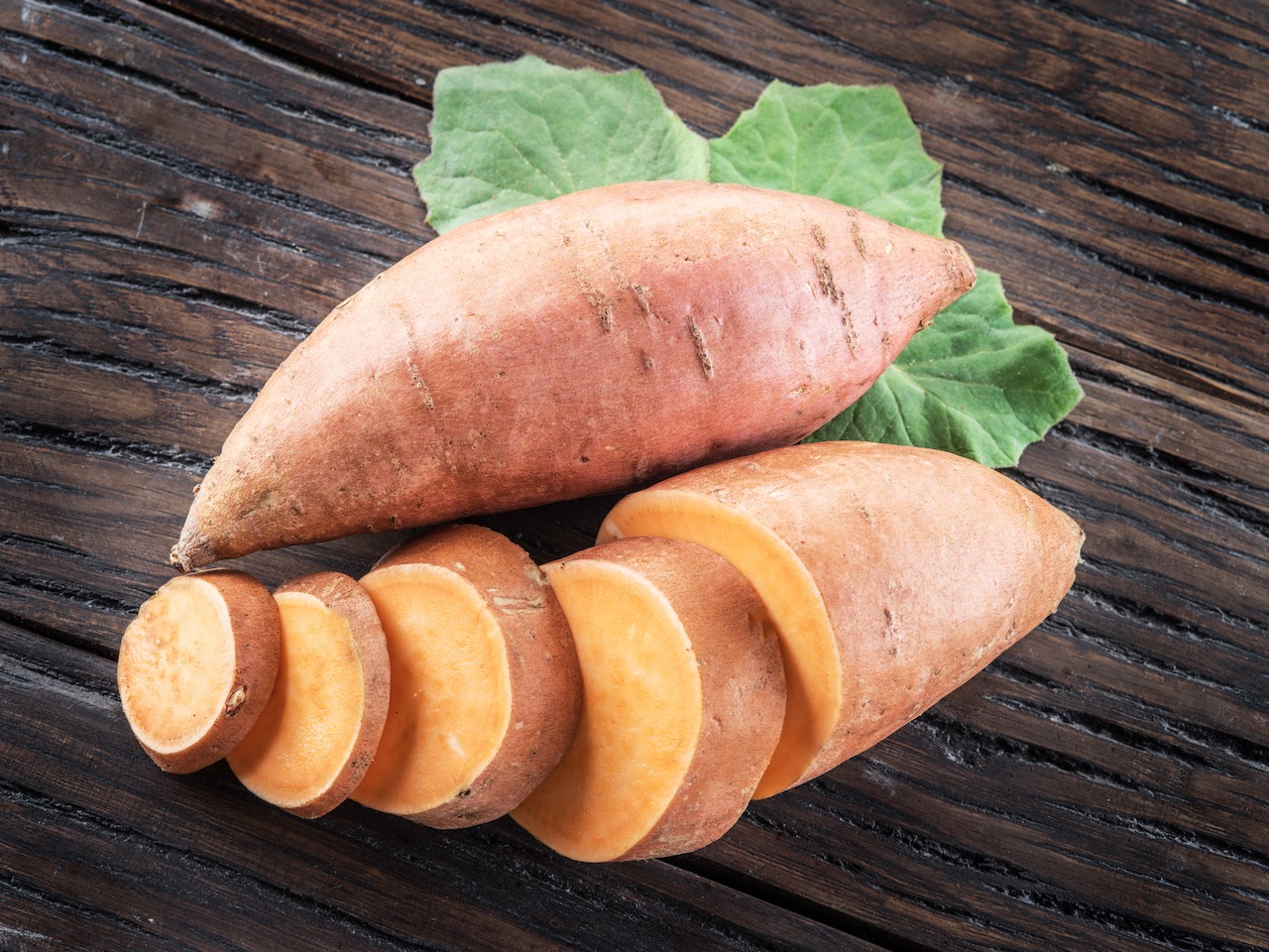 Bio-Süßkartoffel,  Erato Orange im 12-cm-Topf