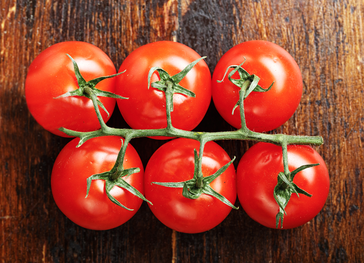 Sechs leuchtend rote ‚Rougella'-Bio-Tomaten hängen in einer Traube am Stiel